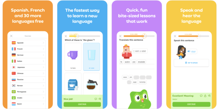 taal leren duolingo overzicht